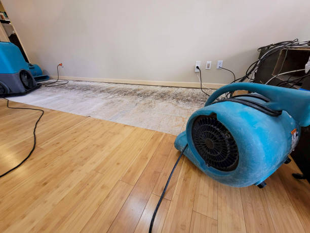 Professional Water Damage Repair technician working in Wentworth, NH